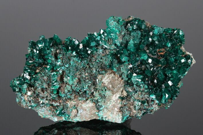 Gemmy Dioptase Crystal Cluster #175952